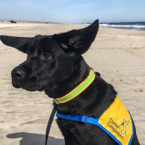 Fundraising Page: Laurie Mulhern Jackson